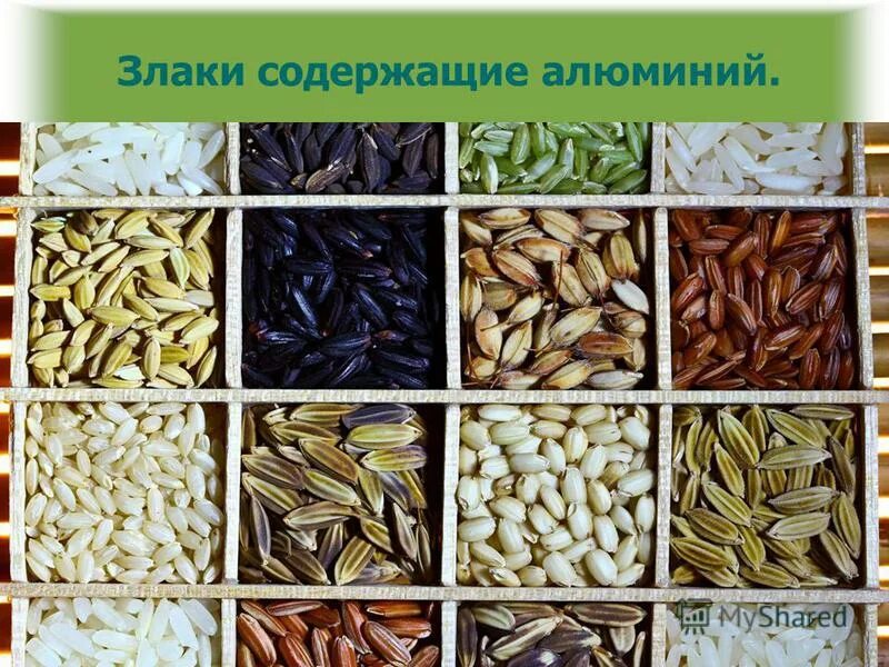 Пшено содержит глютен или нет крупа. Содержание кверцетина в продуктах. Продукты содержащие глютен. Продукты содержащие глютен. Злаки культурные растения.