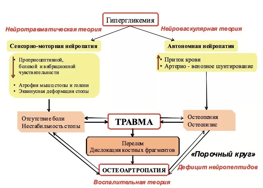 Синдром диабетической стопы патогенез. Диабетическая нейроостеоартропатия патогенез. Синдром диабетической стопы стопа Шарко. Диабетическая полиневропатия патогенез.