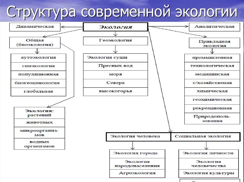 Логическая схема структура современной экологии. Структура содержания современной экологии. Составить схему структура экологии. Структура современной экологии Реймерс.