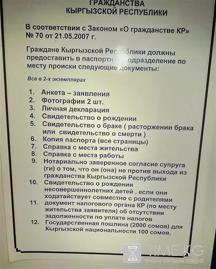 Киргизы какие документы. Перечень документов для получения гражданства. Перечень документов на гражданство РФ.