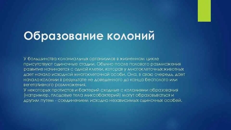 Почему появилась информация. Образуют колонии. Образование в колониях. Образование временной колонии в биологии. Колония это в биологии.