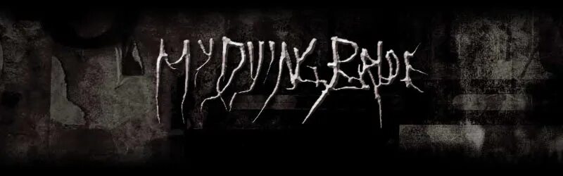 My Dying Bride logo. My Dying Bride вокалист. My Dying Bride обои. My Dying Bride дискография. My dying bride 2024