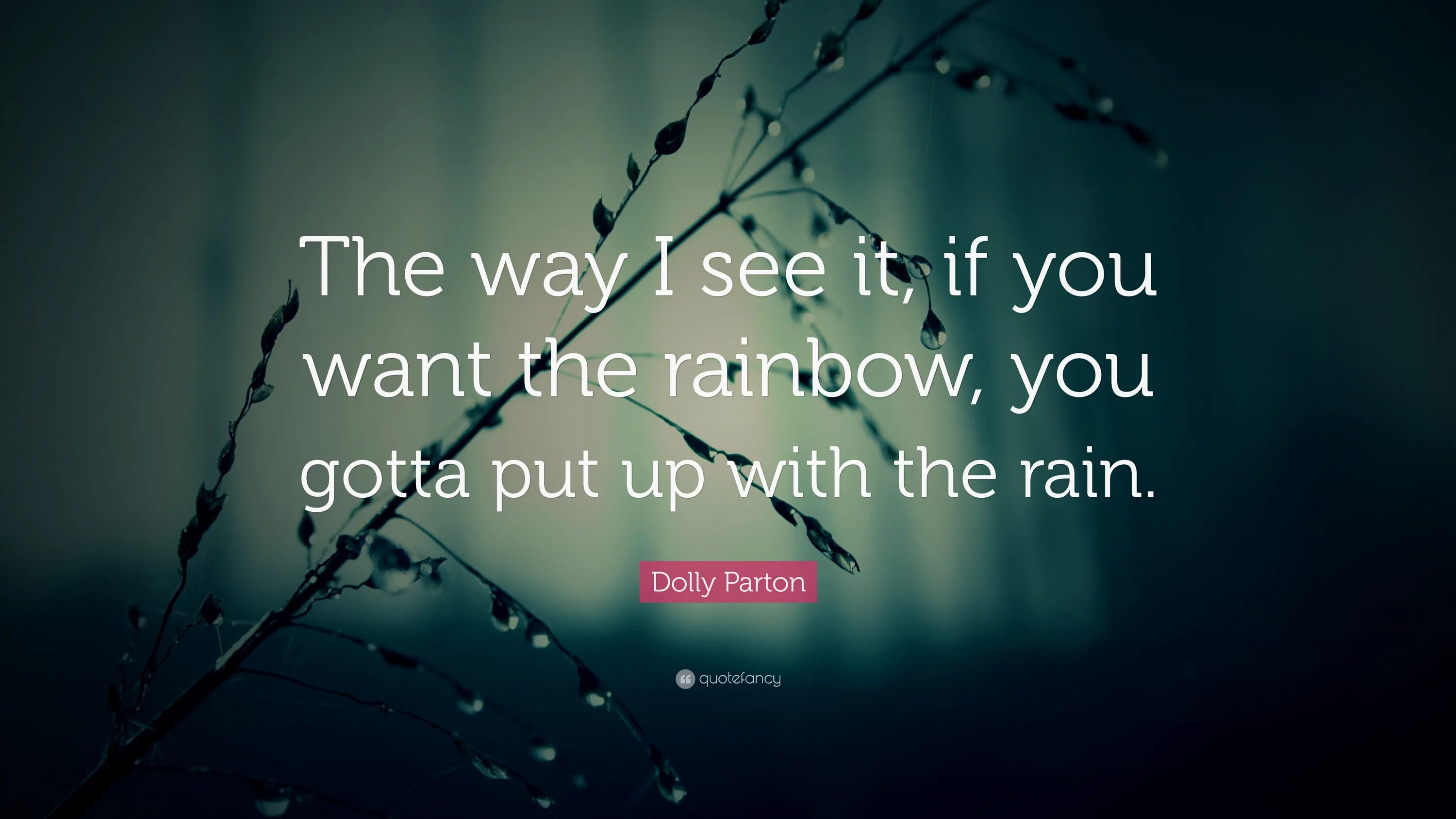 I have seen the way. Some people feel the Rain others just get wet. Some people. Feel the Rain. Some people because the Pain.