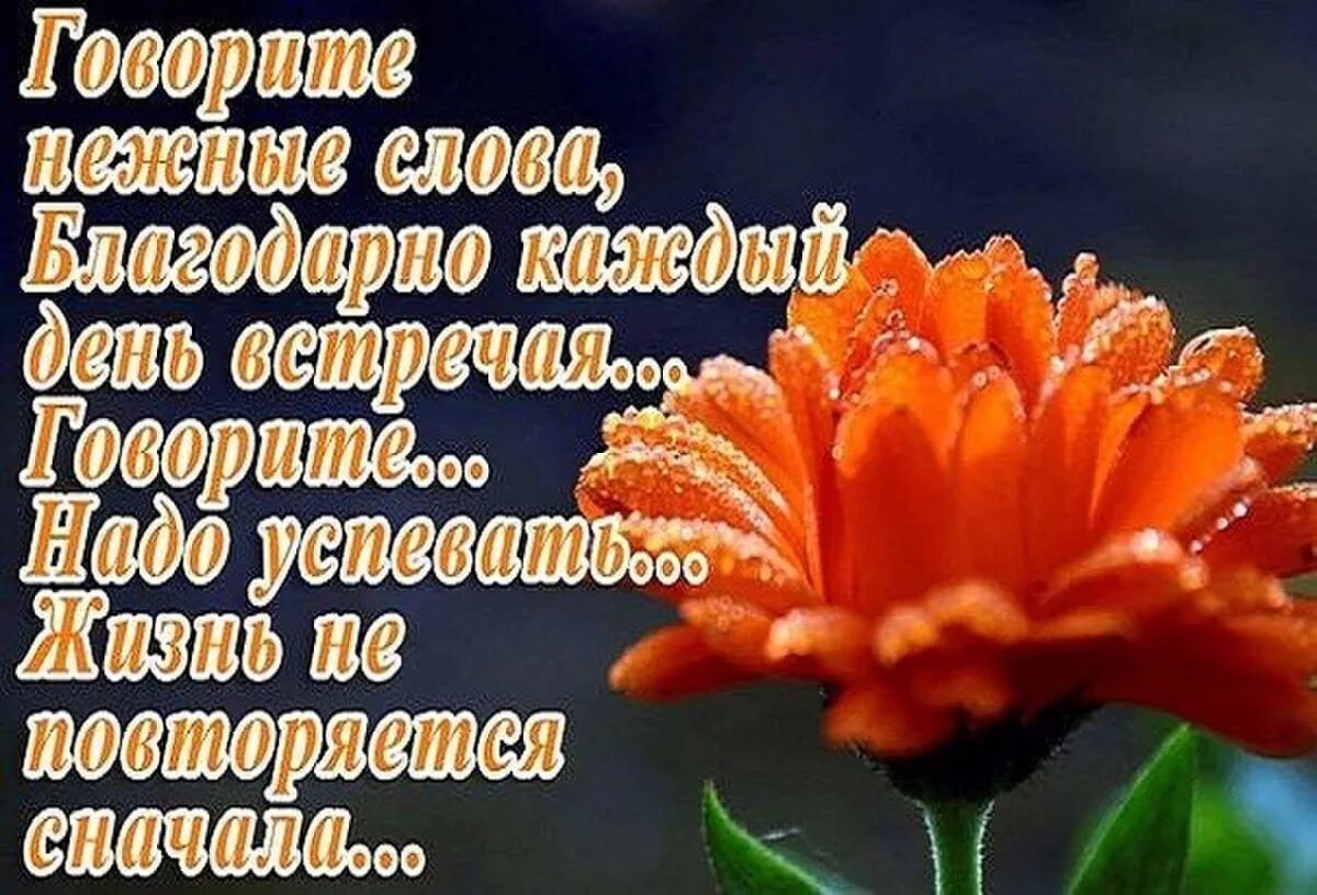 Признательна это значит. Красивые теплые слова. Спасибо за теплоту и доброту. Открытка с благодарностью за внимание и заботу. Добрые нежные слова.