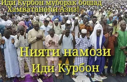 Намози иди курбон. Курбан-байрам 2022. Намоз суралари. Иди курбон. Ният иди курбон.