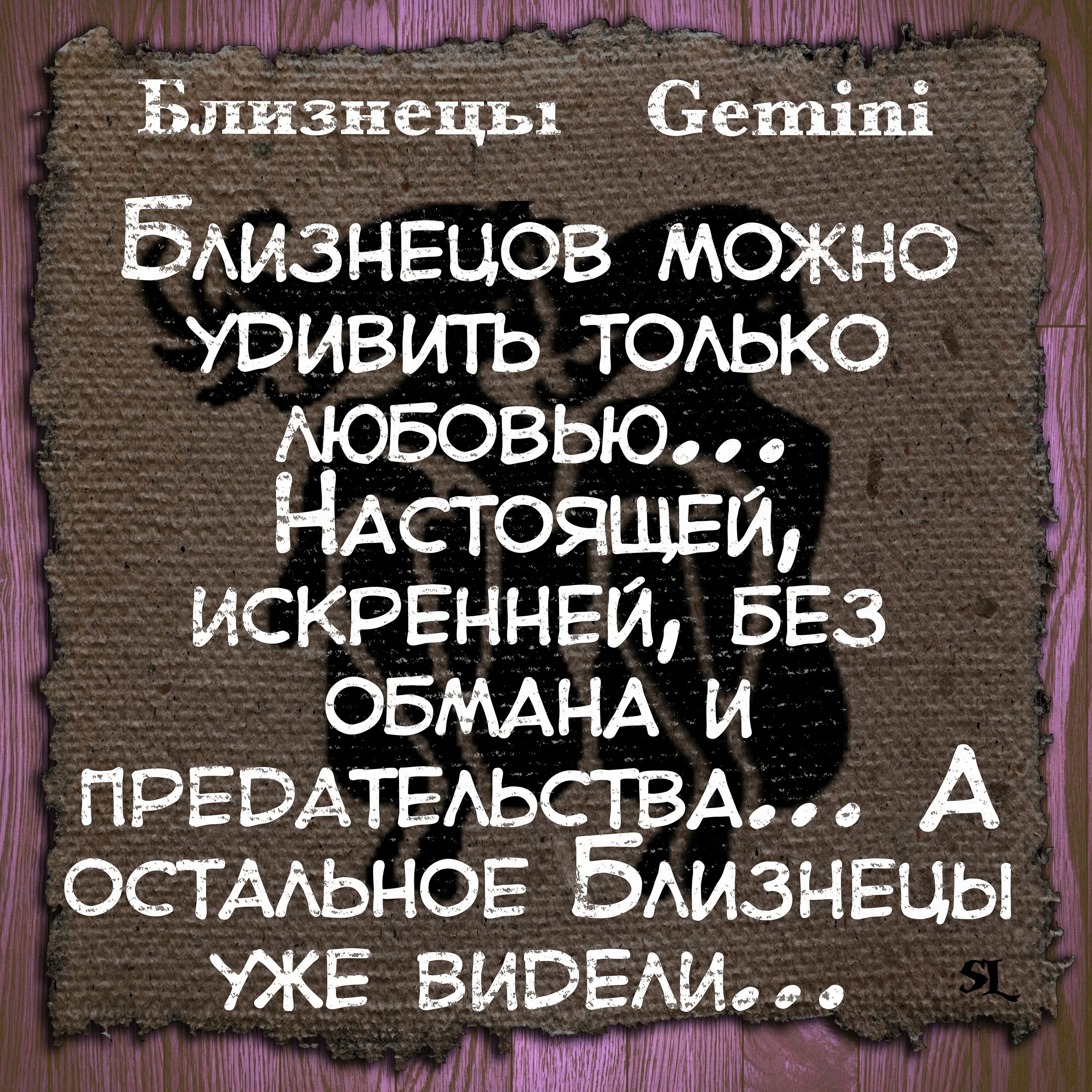 Стих про близнецов. Смешные факты о близнецах. близнецы фразы. близнецы высказывания. приколы про близнецов гороскоп.