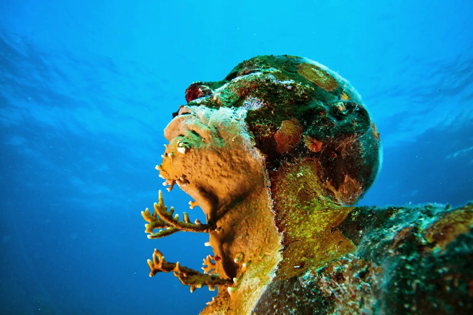 Jason DECAIRES Taylor. Подводный музей в Мексике. Марианская впадина 2022. Подводный музей Тарханкут Крым. На дне океана образуются