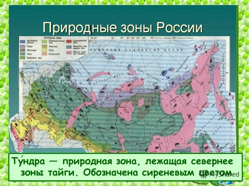 Тундра на карте россии. Карта природных зон евразии в атласе. Тундра атлас. Тундра на карте россии природных зон. Природные зоны евразии атлас.