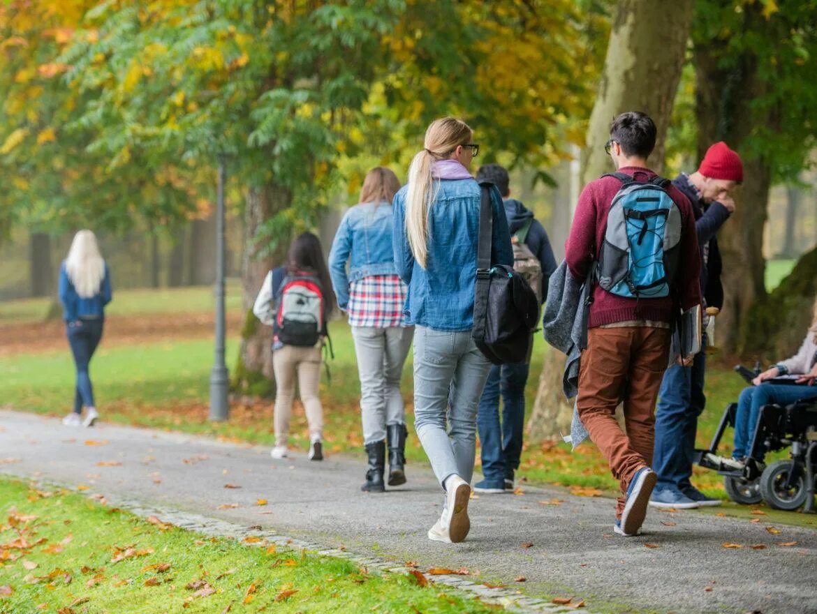 Back to college. Студенты на газоне. Друзья идут в универ. Student Walking. Люди в парке без фона.