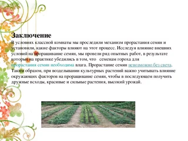 Как влияет освещенность на прорастание. Как влияет освещенность на прорастание