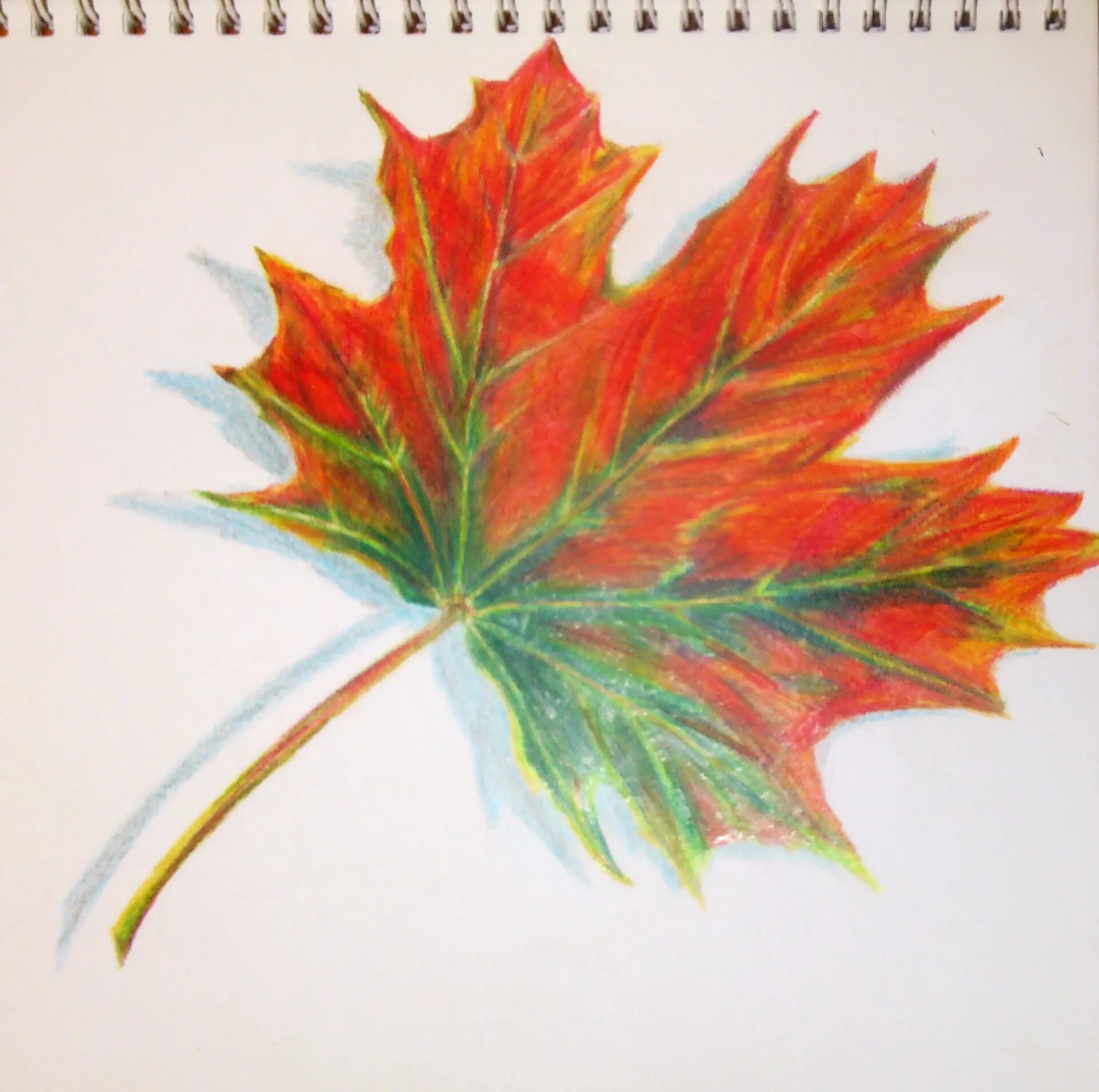 Кленовый лист цветными карандашами. Какинарисовать кленовый лист. Рисование кленового листа. Лист клёна рисунок.