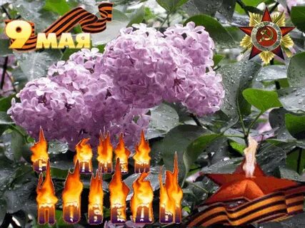С 9 мая картинки красивые гиф