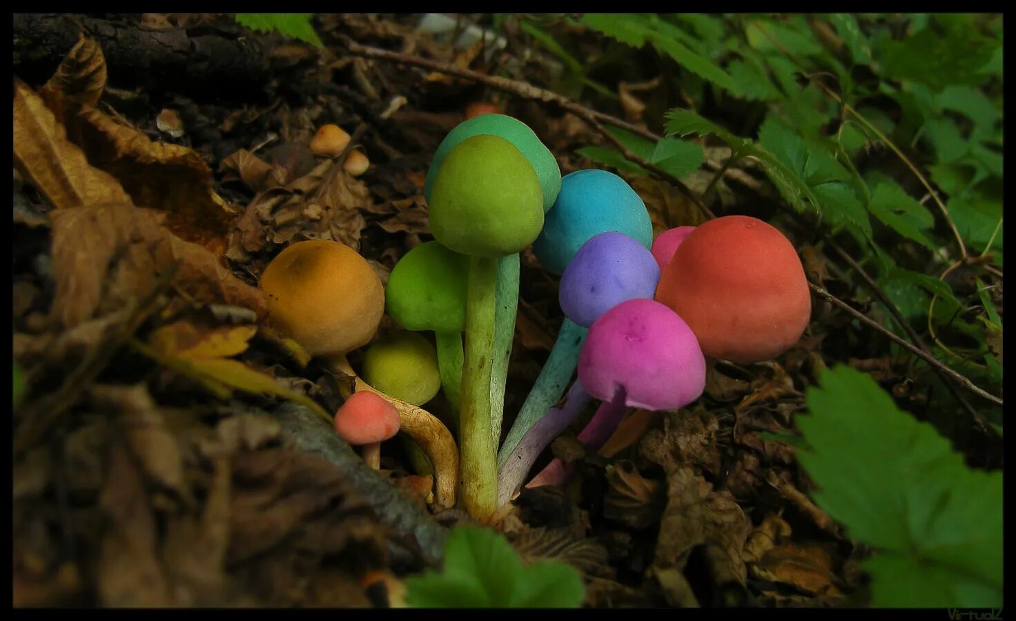 Just one psychedelic trip can have life-long benefits Dazed