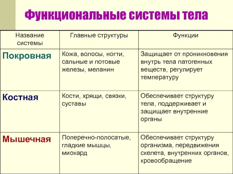 Система покровных органов человека функции. Функции покровной системы. Название системы. Волосы особенности строения и функции. Волосы и ногти строение и функции таблица.