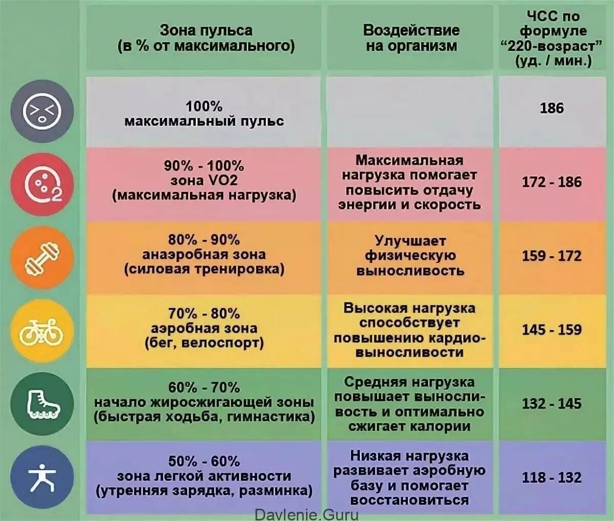 Установлено что период активности когда уровень физиологических