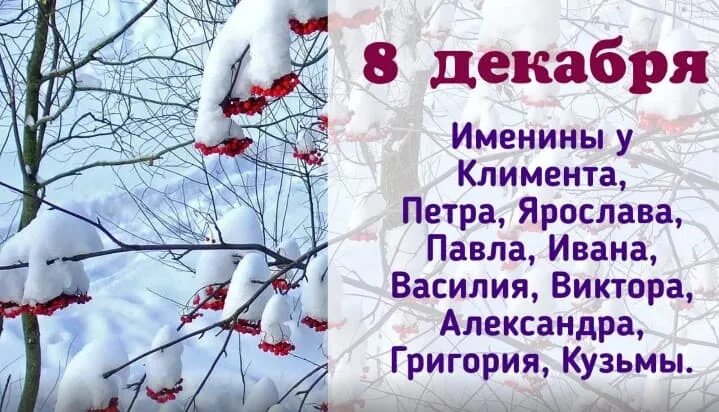 Время 8 декабря. Восьмое декабря. Декабрь. Ветер. Холод с новым днем. Климентьев день 8 декабря картинки.