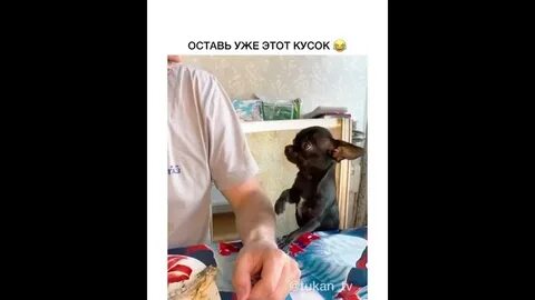 Оставь кусок