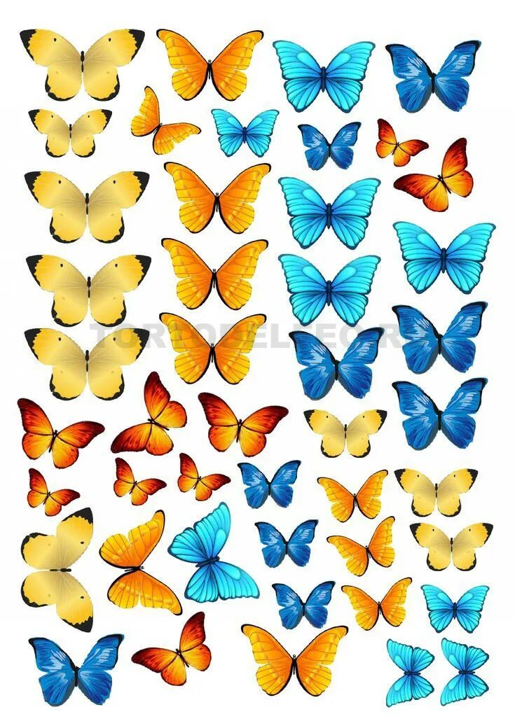 Бабочки пищевая печать. Торт «бабочки». Бабочки для печати. Бабочки съедобная печать. Бабочки для торта картинки для печати