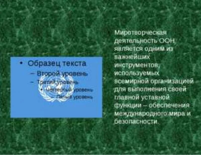 Организация выполняющая миротворческую функцию