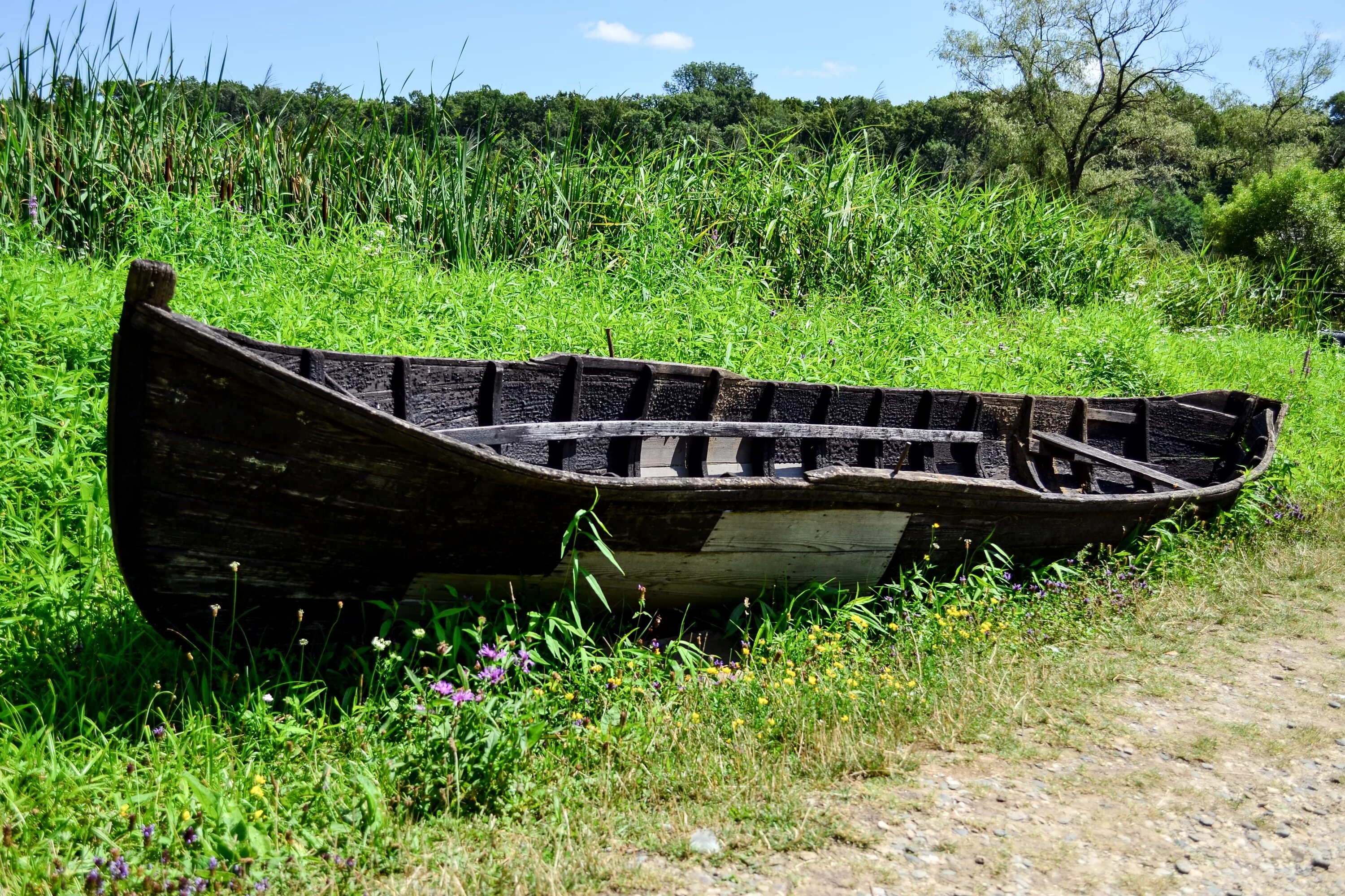 Паруса весел лодочки растения. Древняя лодка. Старая деревянная лодка. Лодка деревянная старинная. Древние деревянные лодки.