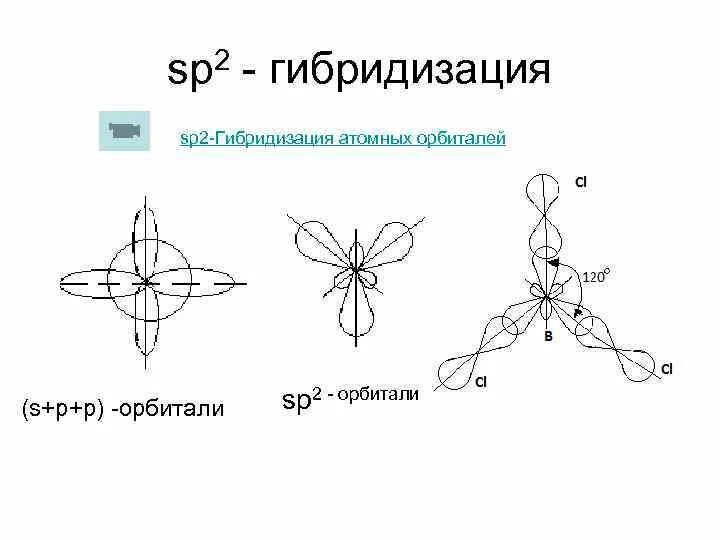 Каждая гибридизация. Гибридизация атомных орбиталей SP, sp2 sp3. SP гибридизация атомных орбиталей. Гибридизация атомных орбиталей sp2. SP sp2 sp3 гибридизация таблица.