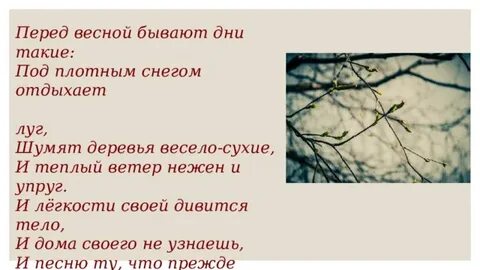 Перед весной бывают дни такие размер стиха