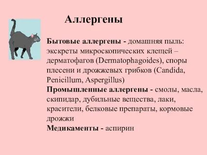 Аллерген домашней пыли