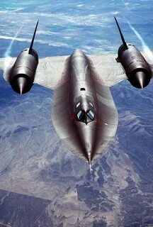 71 blackbird