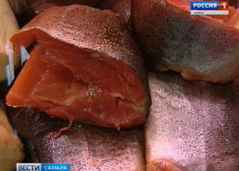 Выставка камчатской рыбы в самаре сегодня