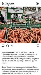 Когда убирать морковь на урале 2024