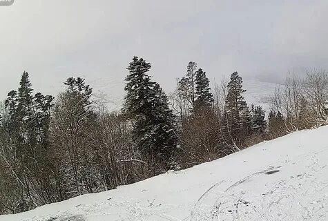 Сейчас в лагонаках есть снег
