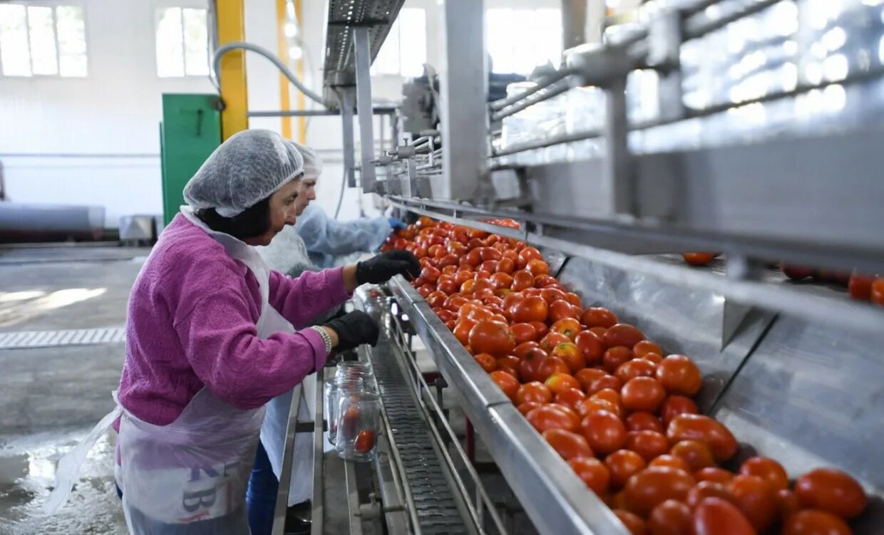 Производство северной осетии. Сельское хозяйство Северной Осетии. Перерабатывающая промышленность. Пищевая и перерабатывающая промышленность. Сельское хозяйство и пищевая промышленность.