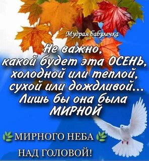 Пусть ходит