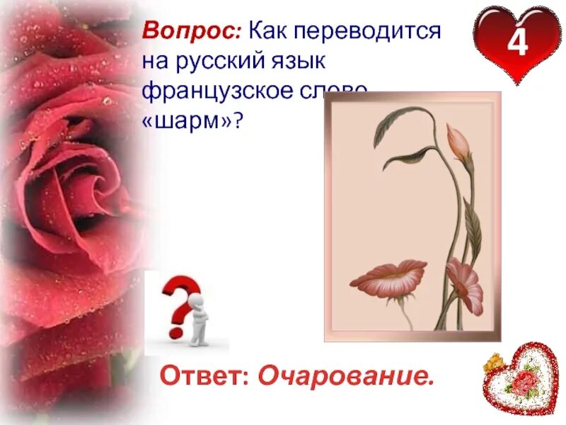 Интересная косметика. Интересные факты о красоте и косметике. Викторина про косметику. Вопросы про косметику. Интересные факты о косметике.