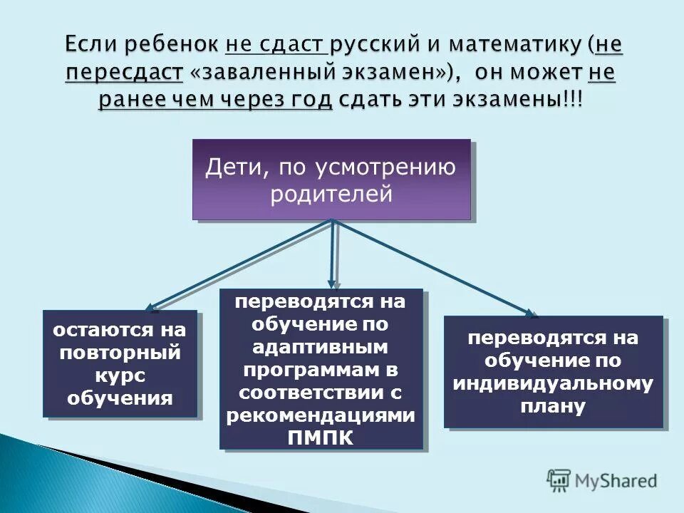 Основных образовательных программ для детей с овз. Виды программного обеспечения компьютера схема. Программа по информатике. Программа по информатике. Адаптированная образовательная программа.
