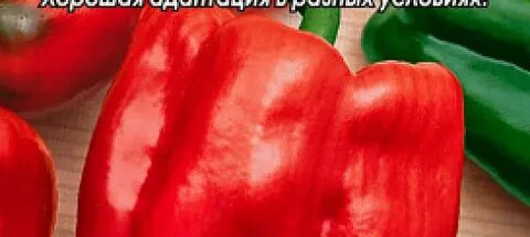 Перец сладкое чудо отзывы