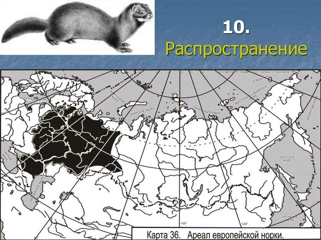 Распространение видов животных
