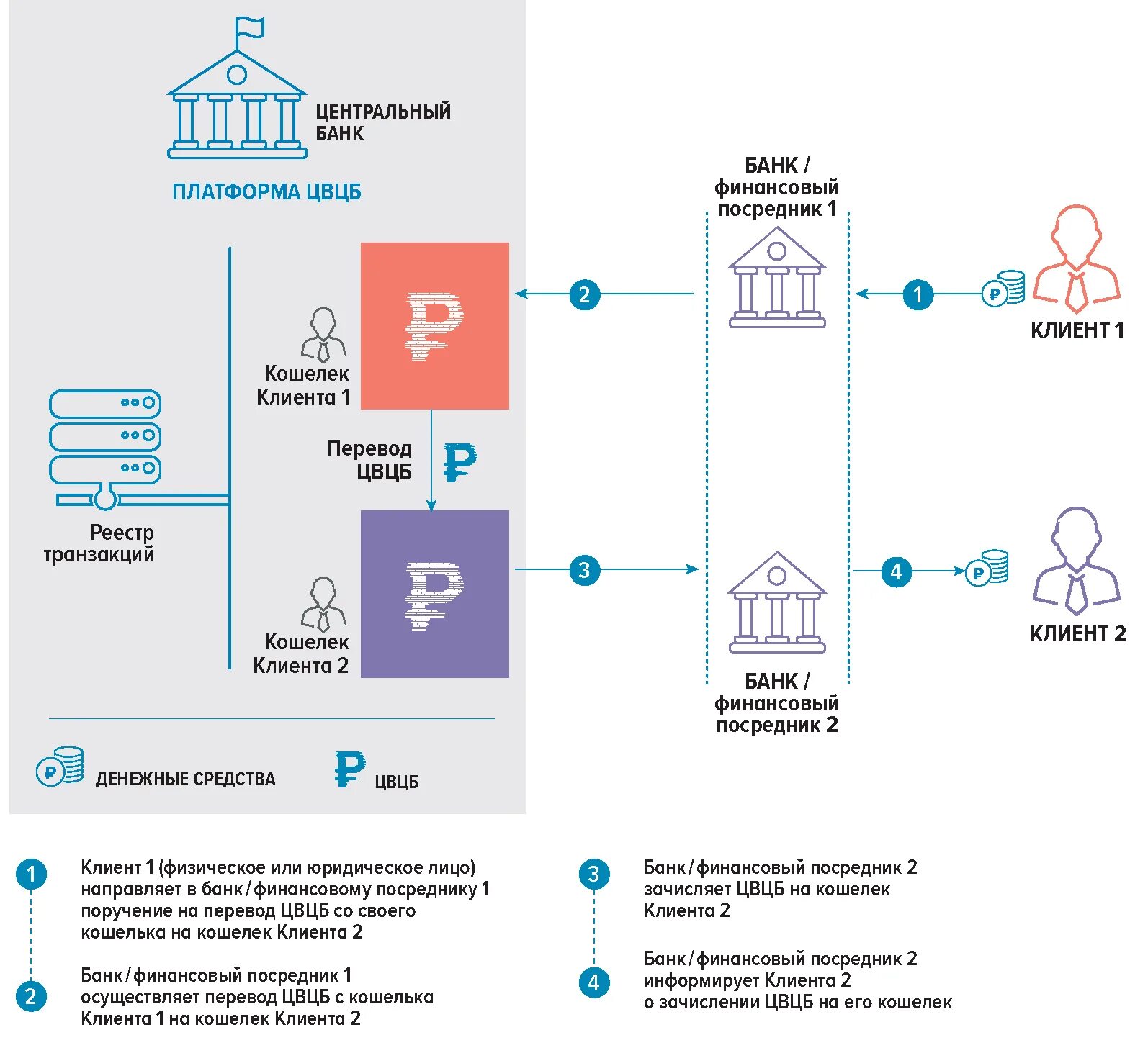 Центральный банк обслуживает расчеты фирм. Цифровой рубль ЦБ РФ. Модели цифрового рубля. Банк цифровой рубль. Цифровая валюта центрального банка.