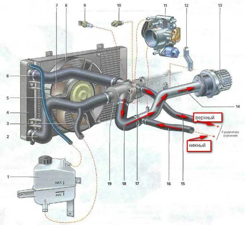 Система охлаждения приора 16 клапанов с кондиционером. Система охлаждения двигателя Ларгус 16.