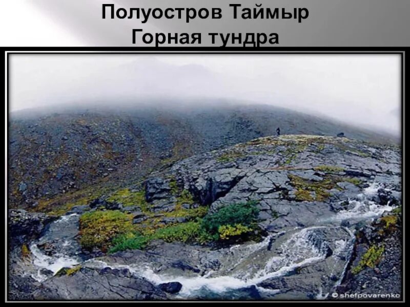 Полуостров таймыр климат. Тундра таймырского полуострова. горная тундра таймыра. тундры на полуострове таймыр. природа таймыра презентация.
