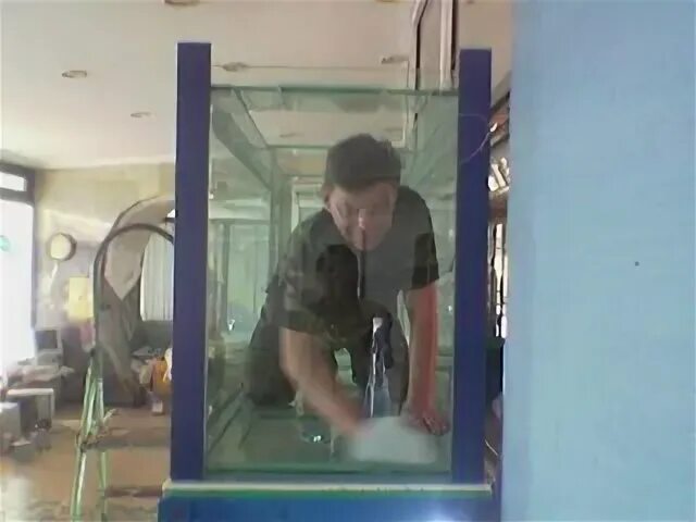 Девушку закрыли в стеклянном ящике и любой