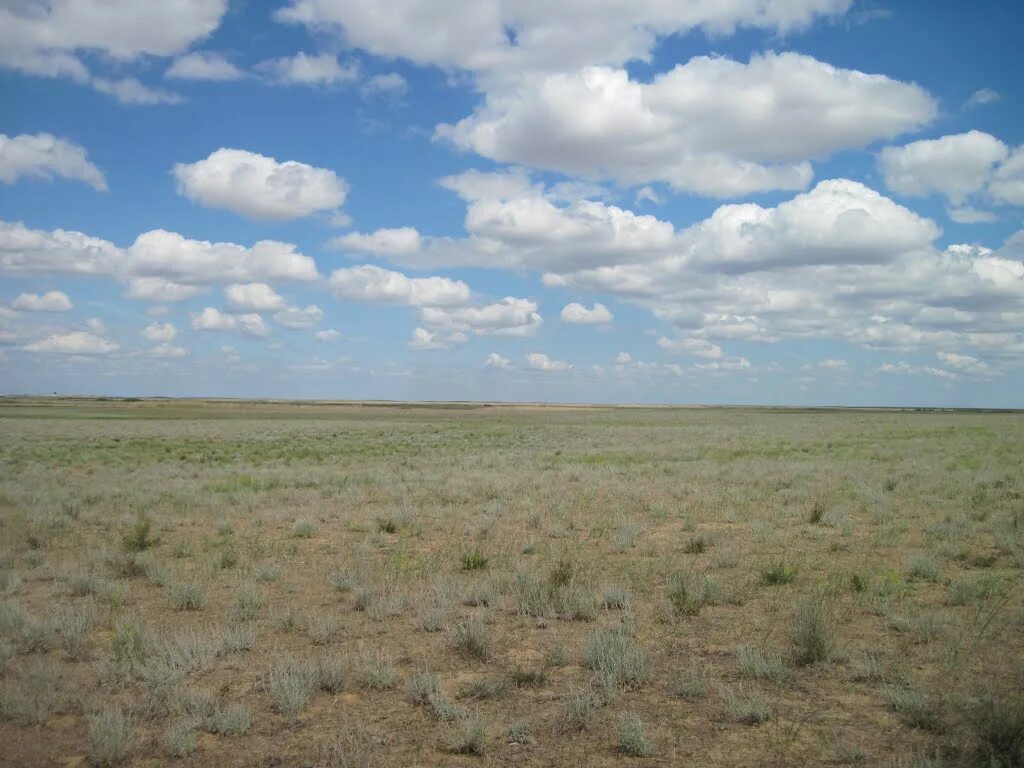 как выглядит степь сейчас. как выглядит степь сейчас. западная степь. степь раньше и сейчас. бель-агачская степь.