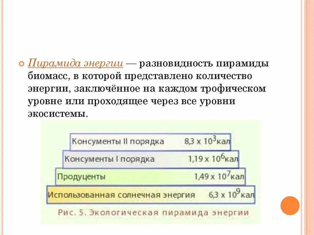 Пирамида чисел биомассы и энергии. Пирамиды энергии виды. Пирамида численности и биомассы. Энергетическая пирамида энергии. Типы экологических пирамид.
