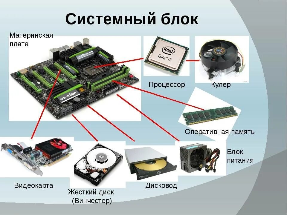 Процессор и системная память. Системный блок для компьютера материнская плата. Материнская плата жесткий диск составляющие компьютера. Видеокарта 2 слота вид сбоку. Как выглядит видеокарта в системнике.