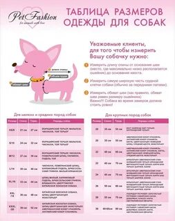 Размерная сетка собак