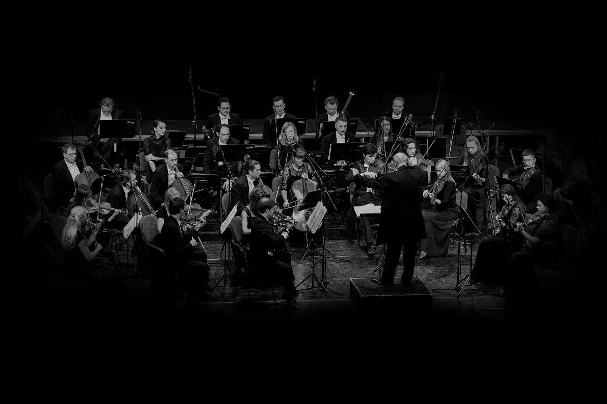 Фон оркестр. Оркестр фон. Оркестр черно белый. Классический оркестр. Симфония оркестр.