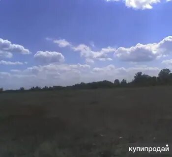 22 гектара