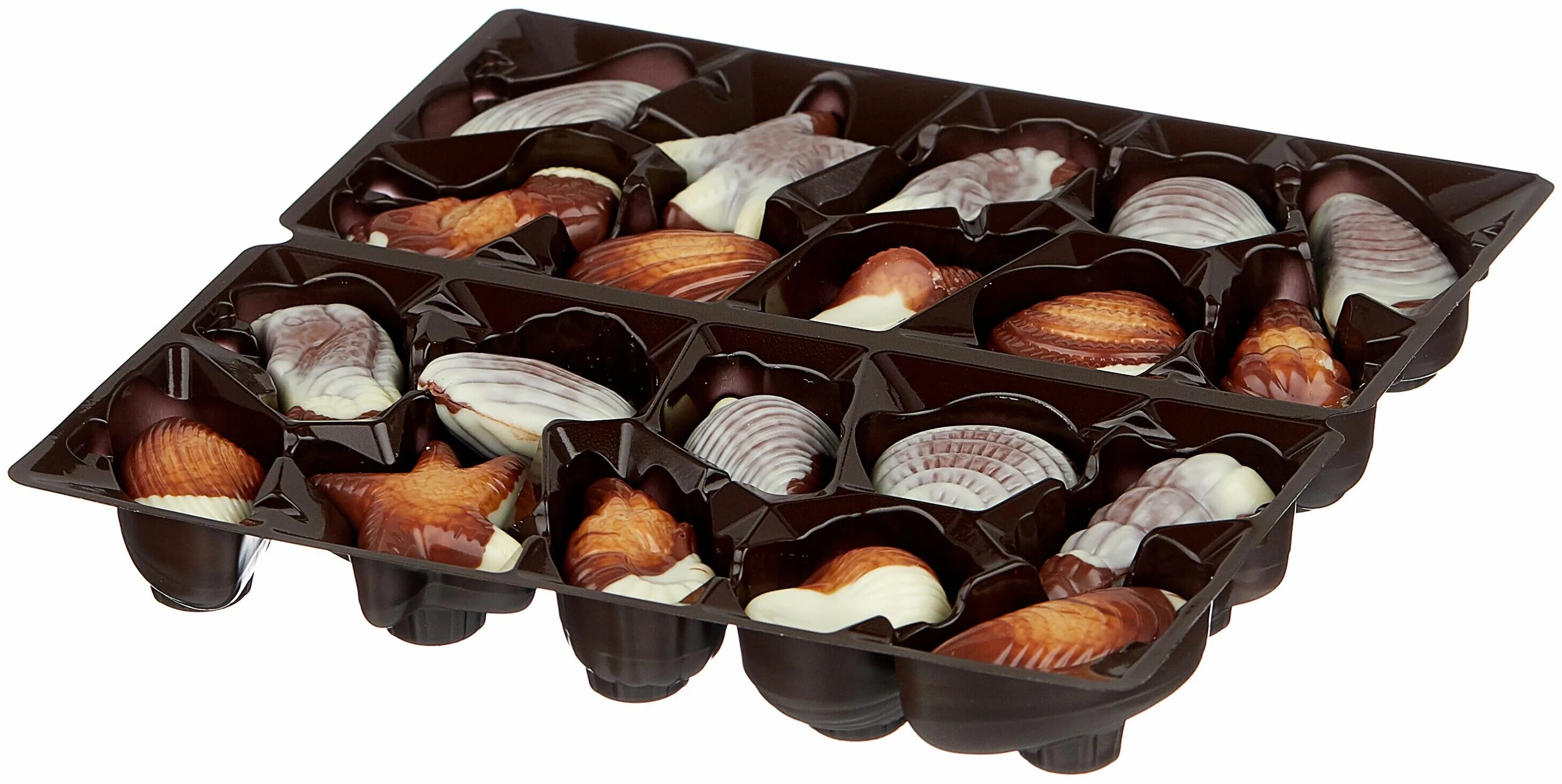 Конфеты ракушки ameri 125 g. Амери ракушки. Шоколадные ракушки амери из пралине 250г. Амери ракушки. Бельгийский шоколад ракушки ameri.