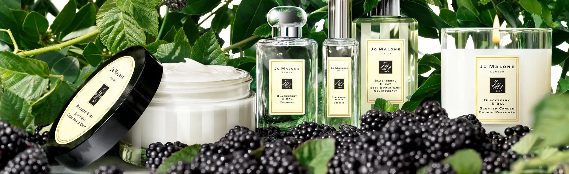 Аромат blackberry. Jo malone blackberry bay cologne, 100 ml. Аромат blackberry. Jo malone blackberry bay cologne, 100 ml. Джо малон духи смородина.