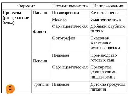 Где используются ферменты